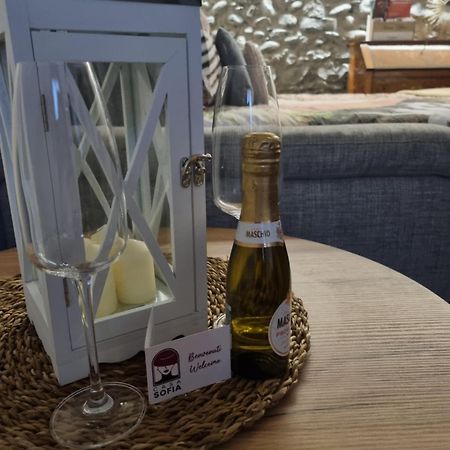 Casa Sofia Apartment Аоста Екстериор снимка